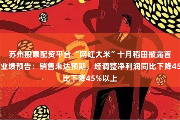 苏州股票配资平台 “网红大米”十月稻田披露首份年度业绩预告：销售未达预期，经调整净利润同比下降45%以上
