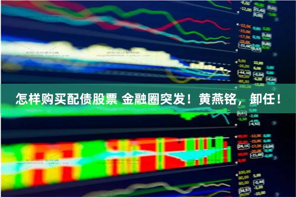 怎样购买配债股票 金融圈突发！黄燕铭，卸任！