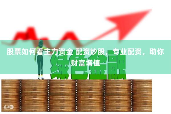 股票如何看主力资金 配资炒股，专业配资，助你财富增值